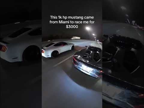 $3000 POT Mustang vs Lamborghini 😱🔥 #shorts
