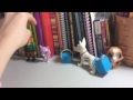 Tangled The Movie Part 5