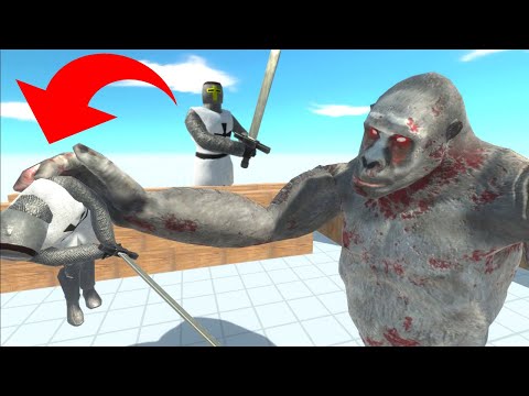New Human Unit! Teutonic knight vs Every Unit - Animal Revolt Battle Simulator
