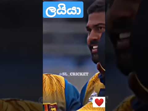Lahiru kumara wickets           T20 World cup 2022              #Lahiru kumara |@udithaweerasekara