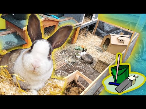 Kaninchenstall sauber machen 💖🐰 Draußen Haltung 🎬