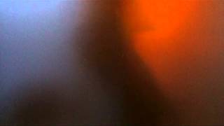 Jan St. Werner - Feed Opener (Official Music Video)