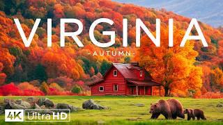 Virginia Fall 4K 🍁 Autumn Serenity | Shenandoah Forests, Rolling Hills & Charming Countryside