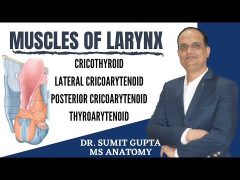 MUSCLES OF LARYNX ANATOMY