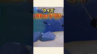 【あつ森】クイズ！ブラックバスなのかドラドなのか！？【あつまれどうぶつの森】#shorts #あつ森