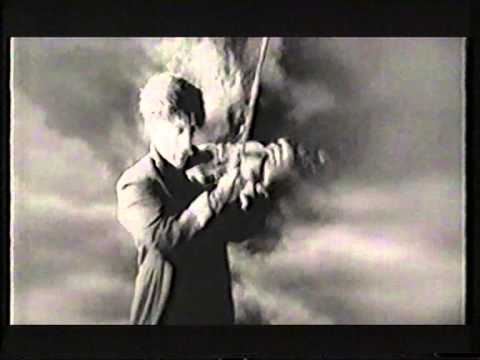Freebird video