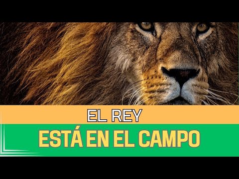 Respuesta 6007 – ¿El Rey siempre está cerca?