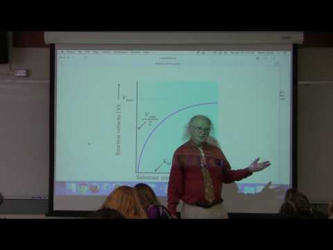 10. Ahern's BB 350 at Oregon State University - Enzymes II