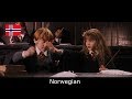 Multilanguage Harry Potter And The Philosopher S Stone It S LeviOsa Not LeviosA 36 Versions