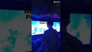 Download lagu Ayat Suci #doa #zikir #dakwah #ceramah #shortsfeed #shortvideo #shorts mp3 Download lagu Ayat Suci #doa #zikir #dakwah #ceramah #shortsfeed #shortvideo #shorts mp3