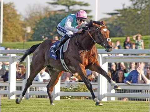 FRANKEL Queen Elizabeth II Stakes (G1) 2011