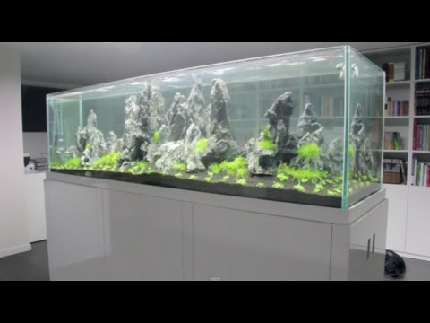 Aquaeden - Montagem de um Aquascape 200x60x60 cm - 720l