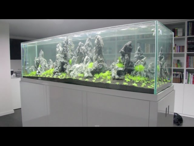 Aquaeden - Montagem de um Aquascape 200x60x60 cm - 720l