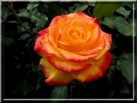 100 lat na imieniny.wmv