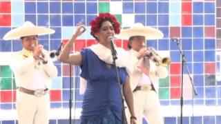 Gorrioncillo Pecho Amarillo del compositor Tomás Méndez