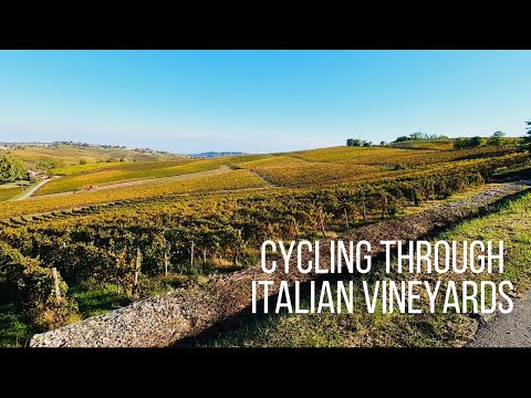 Cycling through Italian vineyards - Road cycling adventure in the Oltrepò Pavese area