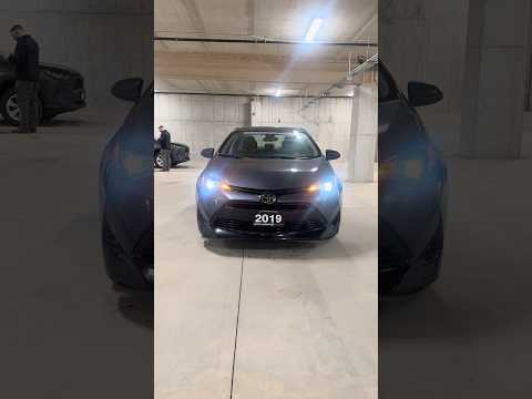 2019 Toyota Corolla in Blue for sale at North London Toyota in London, ON