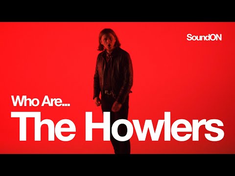 Who Are The Howlers? 🔍