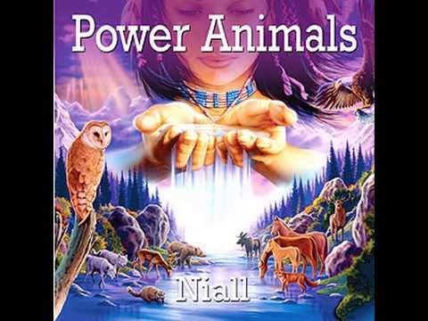 The Owl--Power Animals by Niall