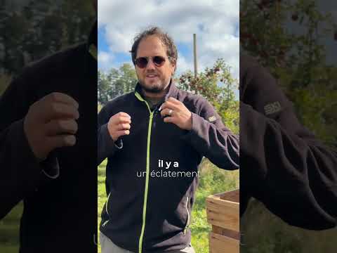 Video thumb