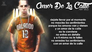 Papi Wilo-Amor de la calle
