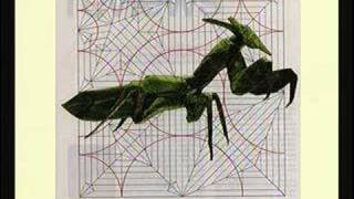 The Mind of a Visual Thinker: Photo-Realistic Images