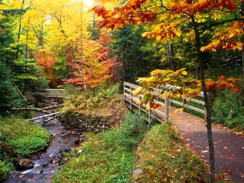 D3W35H - Trance Hit Mix [Part 3]