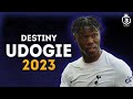 Destiny Udogie 2023 - Best Goals, Assists, Dribbles & Tackles | HD