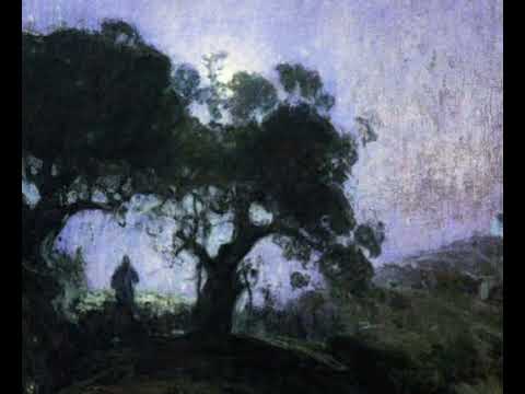 Olavo de Carvalho - Cristianismo, autoconsciência  (livro: O Jardim das Aflições)