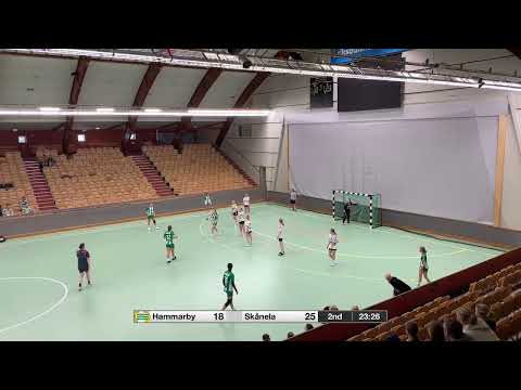 Hammarby - Skånela