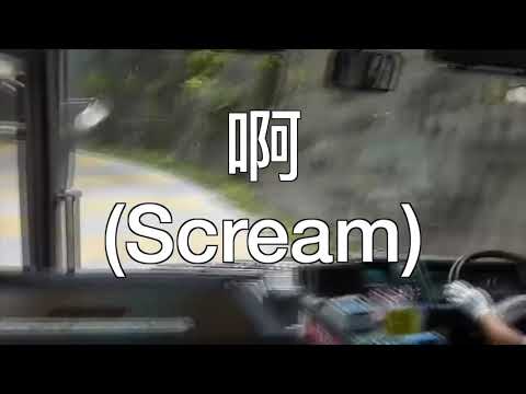 Crazy Chinese Bus Driver Freaks Passengers Out- Mind Control?