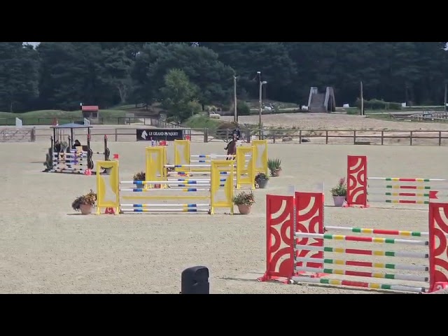 Hongre 6 ans CCE/CSO