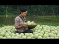 Love And Effort Ly Thi Di And Zim Aim Towards Their Dream Wedding