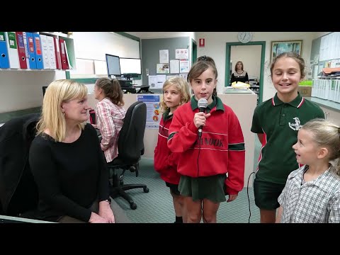 A walkthrough tour of Billanook