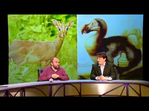QI s04e09 Doves