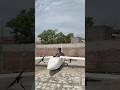 Homemade Big RC Plane ️ Shorts Shortsfeed Shortsviral Experimnent