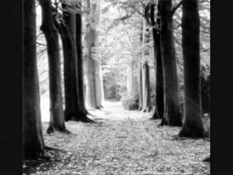 erinnerung 2009 !!.wmv