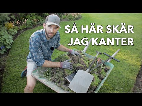 Så här skär jag kanter runt gräsmattan