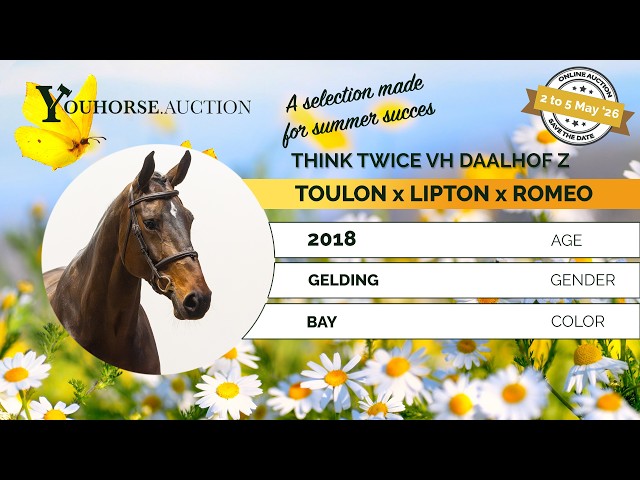 Think Twice van't Daalhof