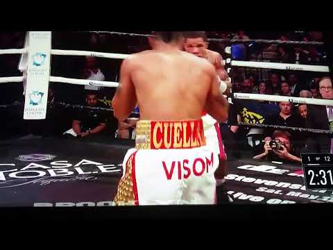 Gervonta davis v cuellar