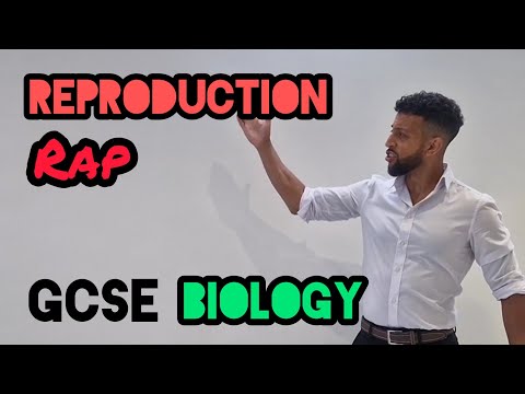 Science Raps: GCSE Biology - Reproduction