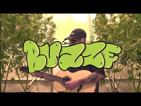 Jay Scøtt - Buzzé