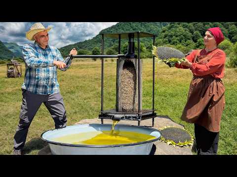 Harvesting Sunflowers and Making Homemade Oil in a Mountain Village