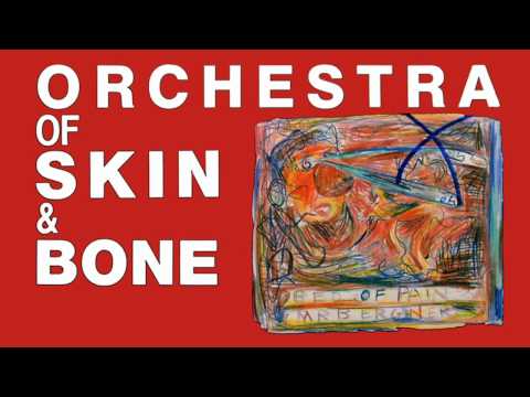 Orchestra Of Skin & Bone - In Search Of Faculty X