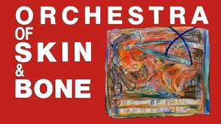 Orchestra Of Skin & Bone - In Search Of Faculty X