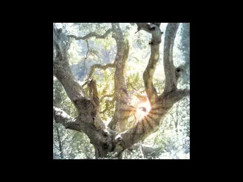 Shakatura - Ascension