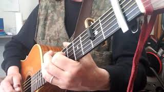 Video thumbnail for Demystifying the Partial Capo by Larry Seiler
