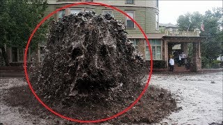 5 UNEXPLAINED CREATURES Caught On Camera