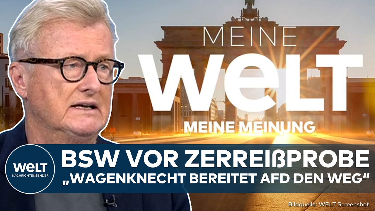 MEINE MEINUNG: "Lust an der Zerstörung!" Wagenknecht spaltet BSW wegen AfD!