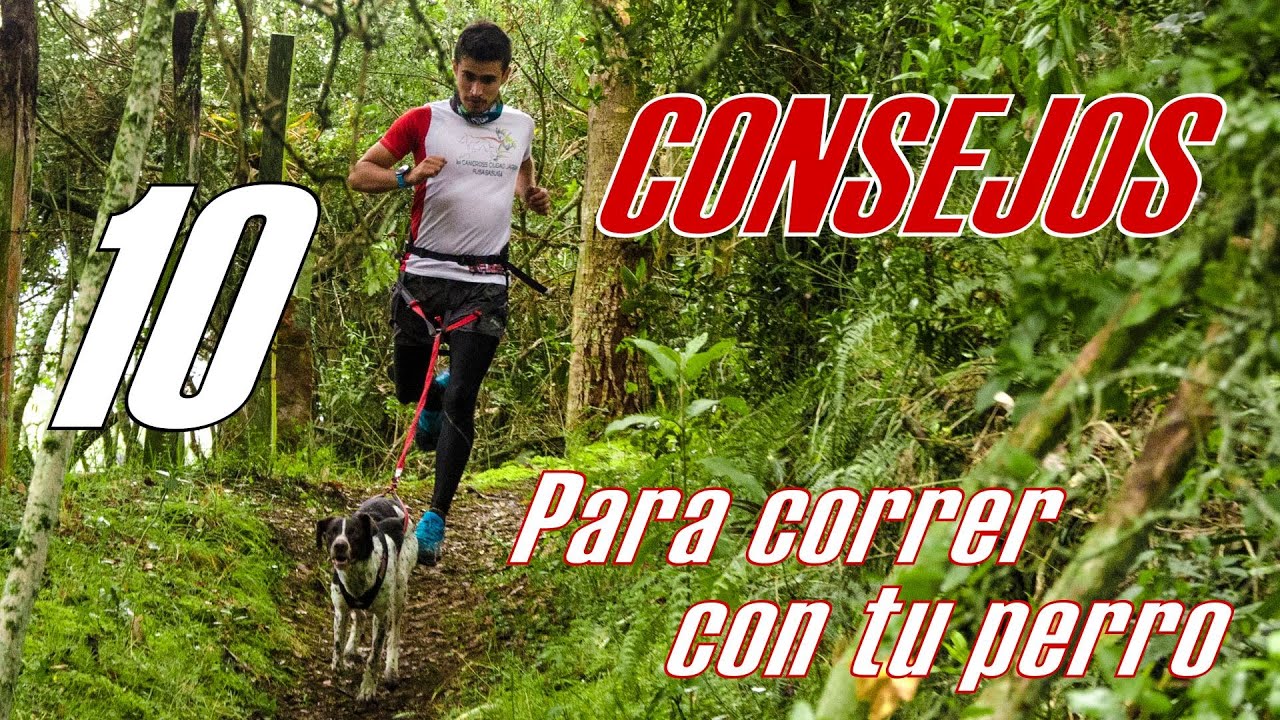 10 Consejos para salir a correr con tu perro